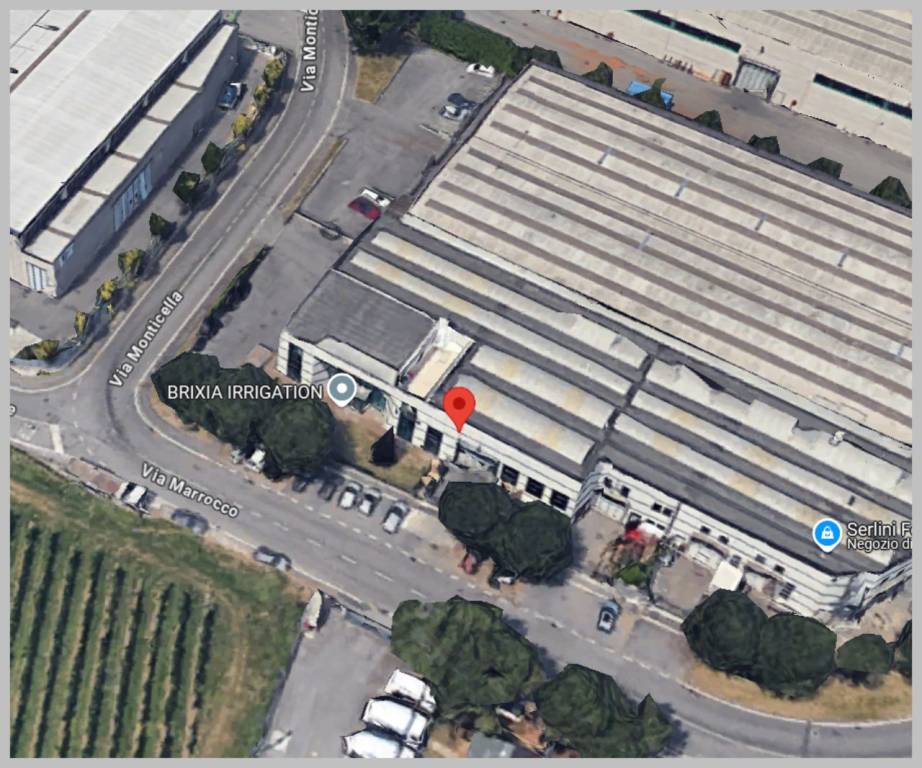 immagine annuncio 11 di 15