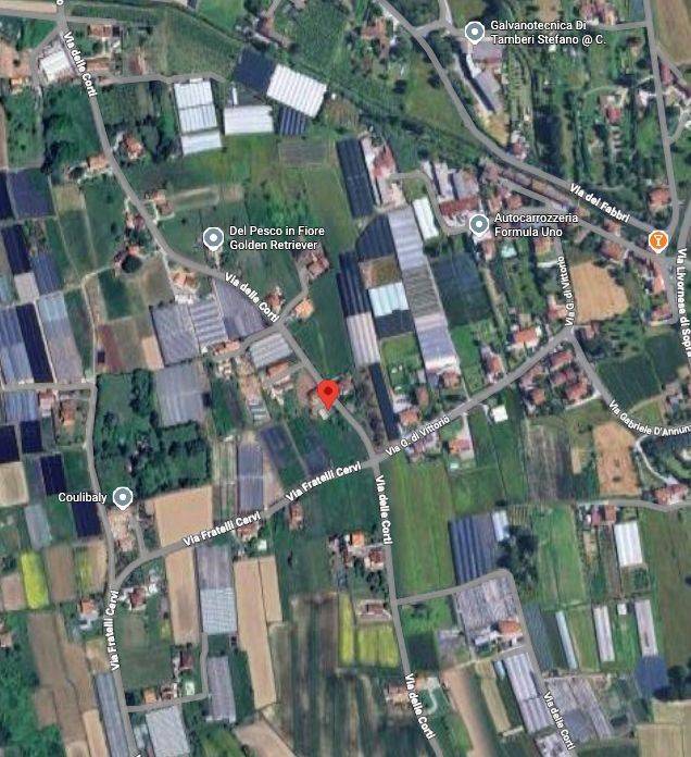 immagine annuncio 3 di 12