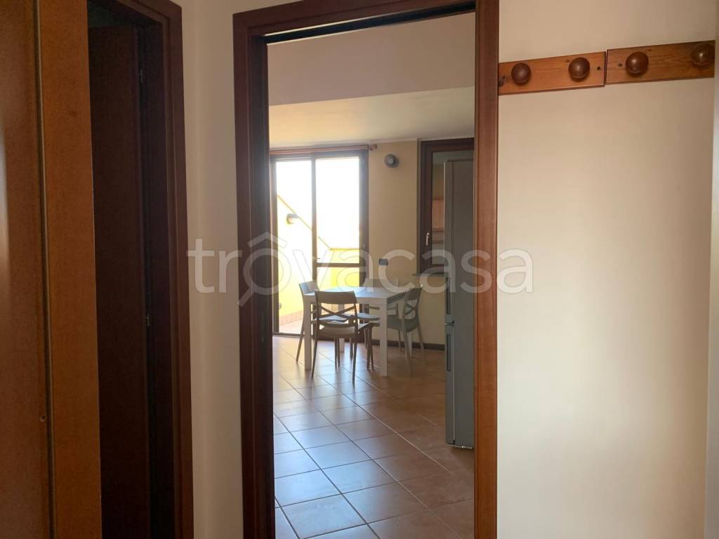 immagine annuncio 4 di 14