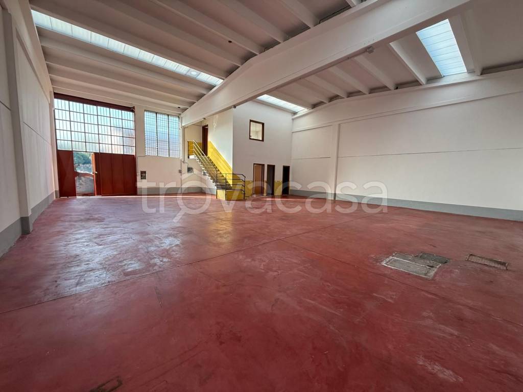 immagine annuncio 1 di 8