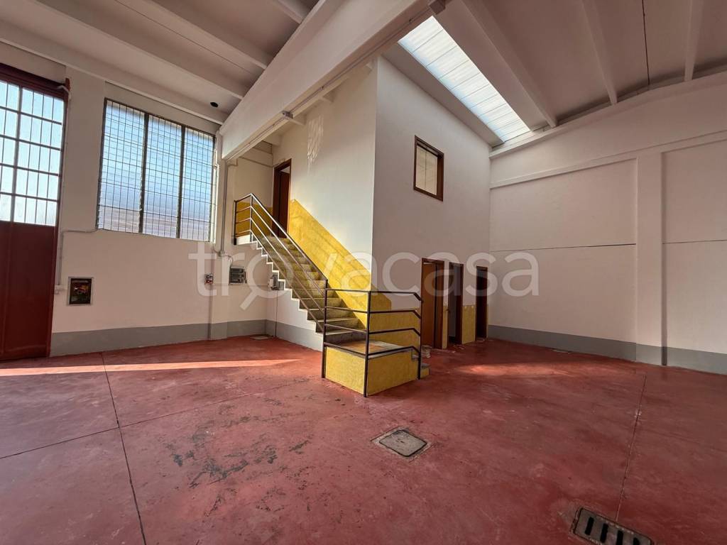 immagine annuncio 3 di 8