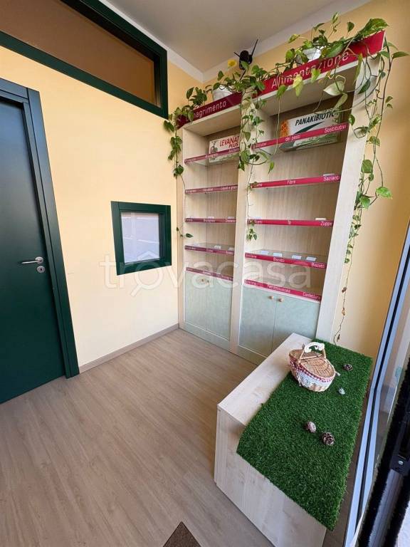 immagine annuncio 1 di 8