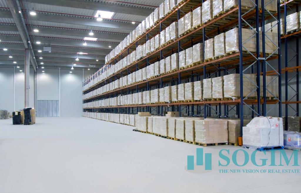 immagine annuncio 4 di 12