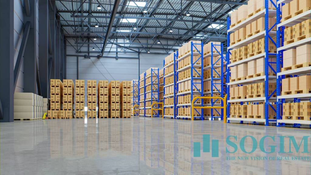 immagine annuncio 6 di 12