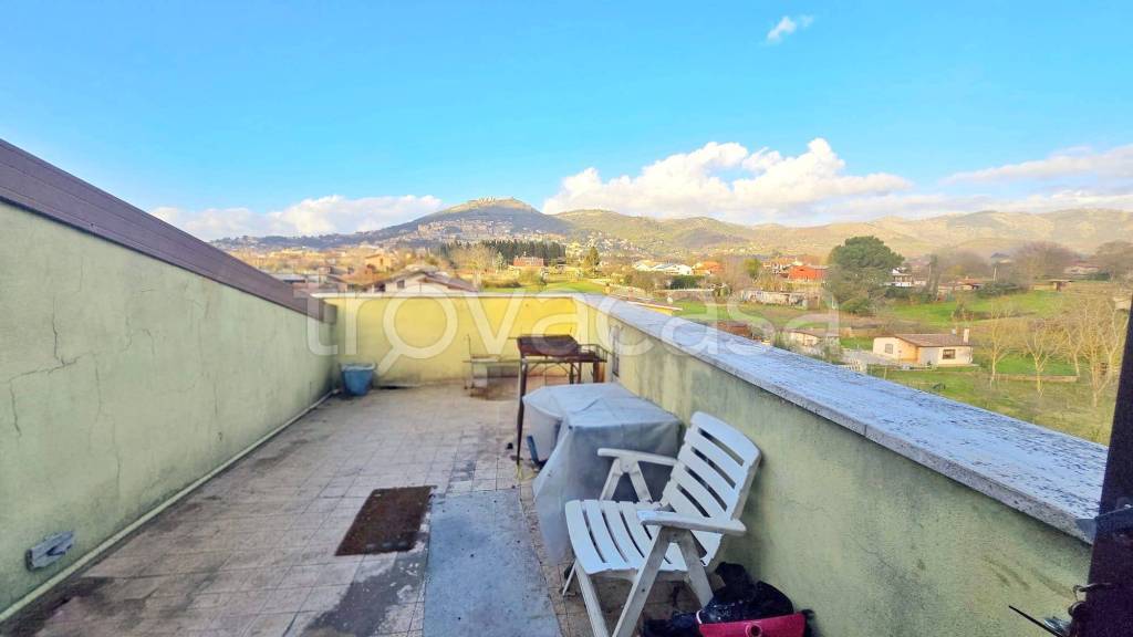 immagine annuncio 3 di 6