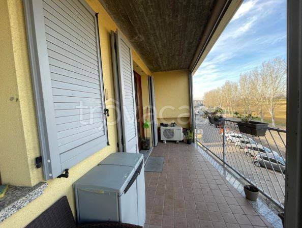 immagine annuncio 2 di 12