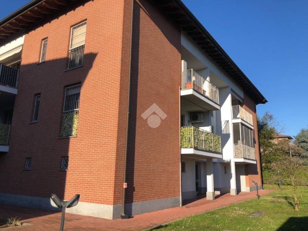 immagine annuncio 3 di 11