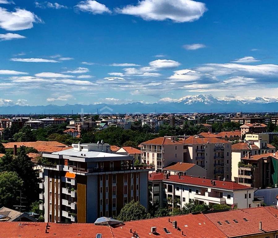 immagine annuncio 8 di 9