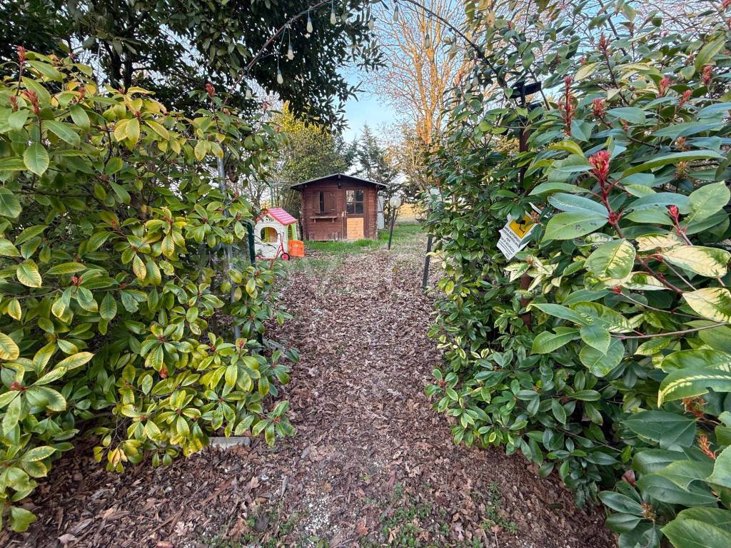 immagine annuncio 4 di 15