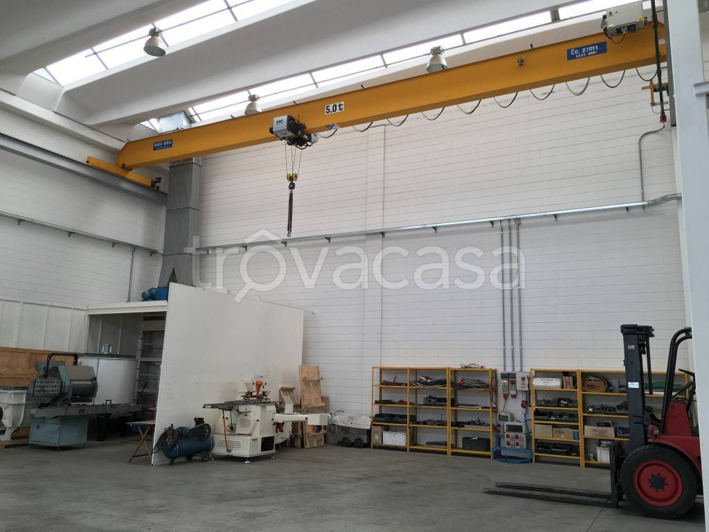 immagine annuncio 10 di 15