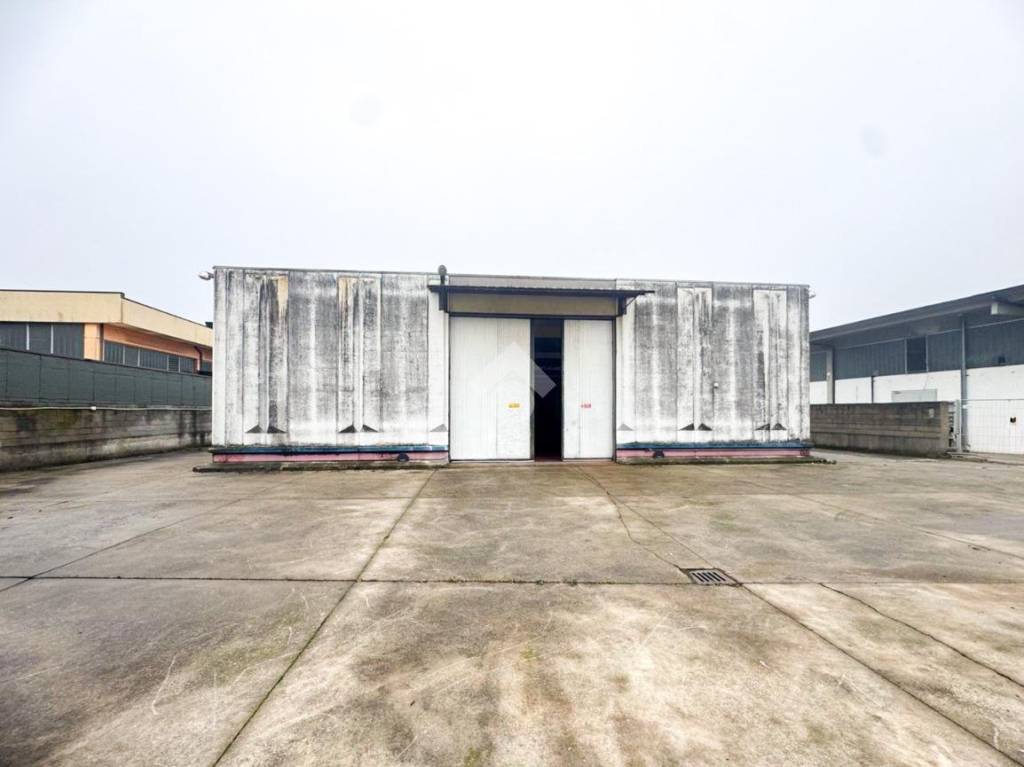 immagine annuncio 11 di 15