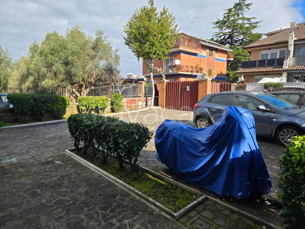 immagine annuncio 2 di 14