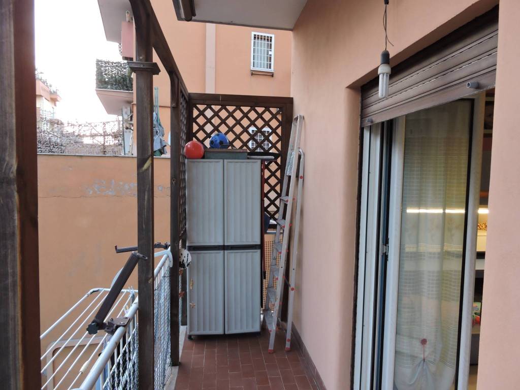 immagine annuncio 9 di 14