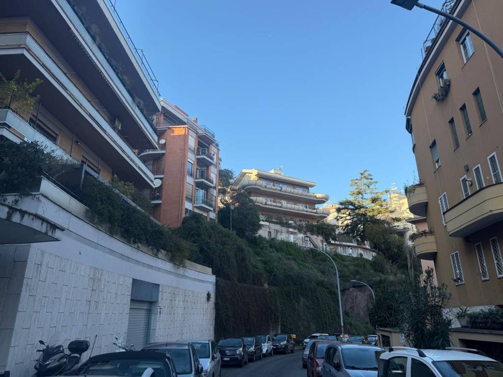 immagine annuncio 12 di 14