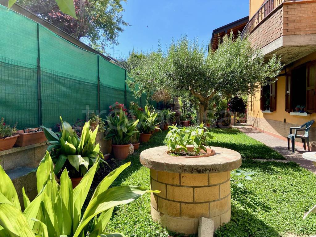 immagine annuncio 1 di 15