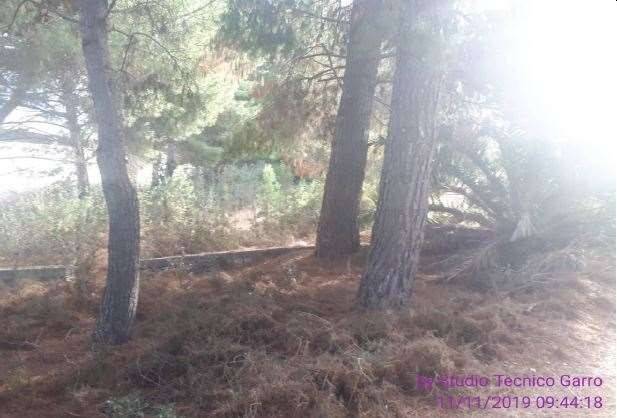 immagine annuncio 4 di 7