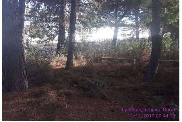 immagine annuncio 5 di 7