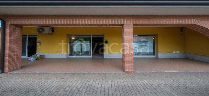 immagine annuncio 2 di 8