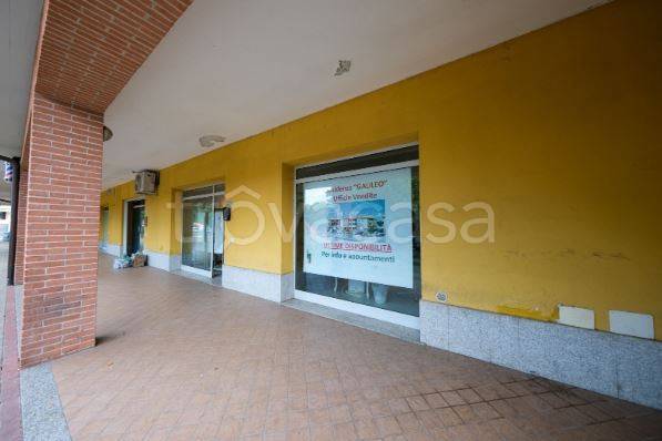 immagine annuncio 3 di 8