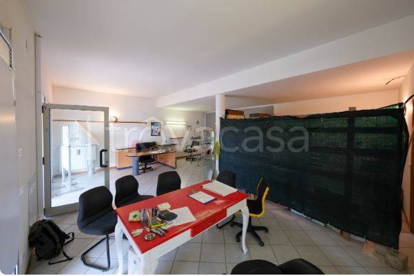 immagine annuncio 4 di 8