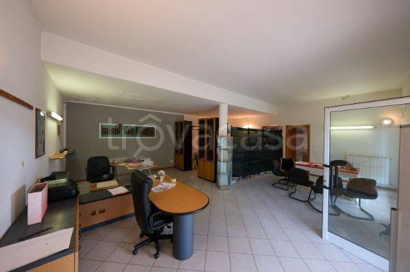 immagine annuncio 5 di 8