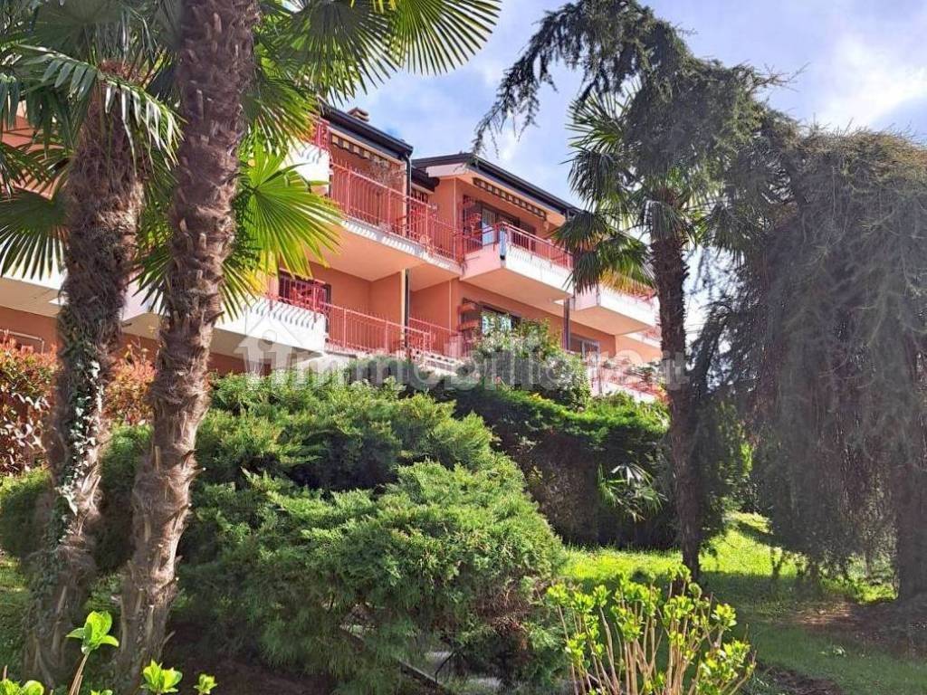 immagine annuncio 2 di 3