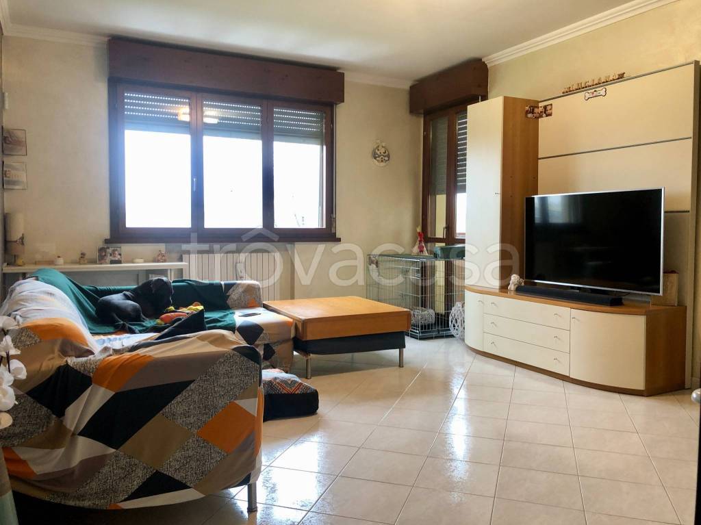 immagine annuncio 7 di 15