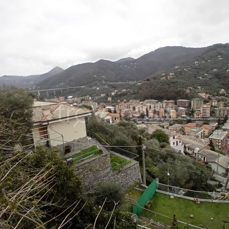 immagine annuncio 11 di 14