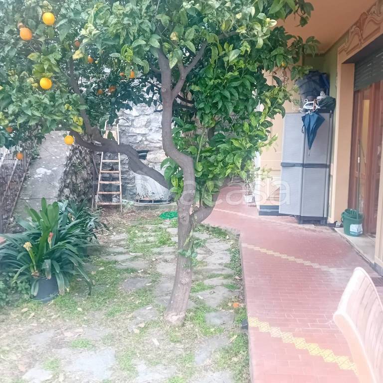 immagine annuncio 1 di 14