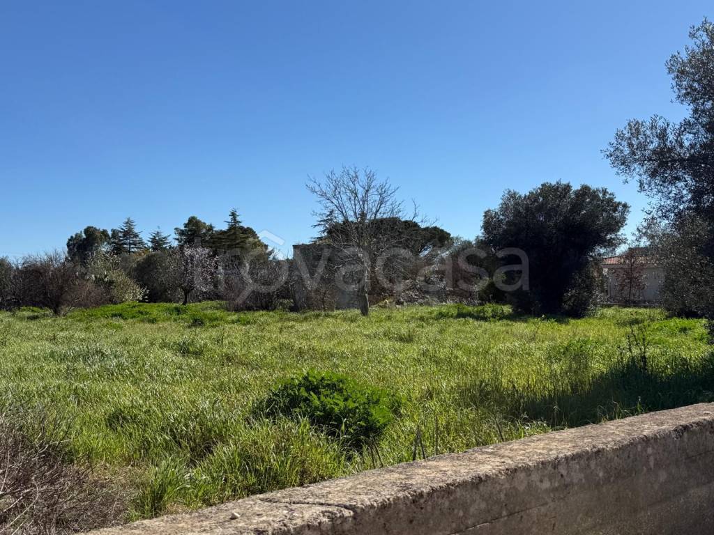 immagine annuncio 3 di 4