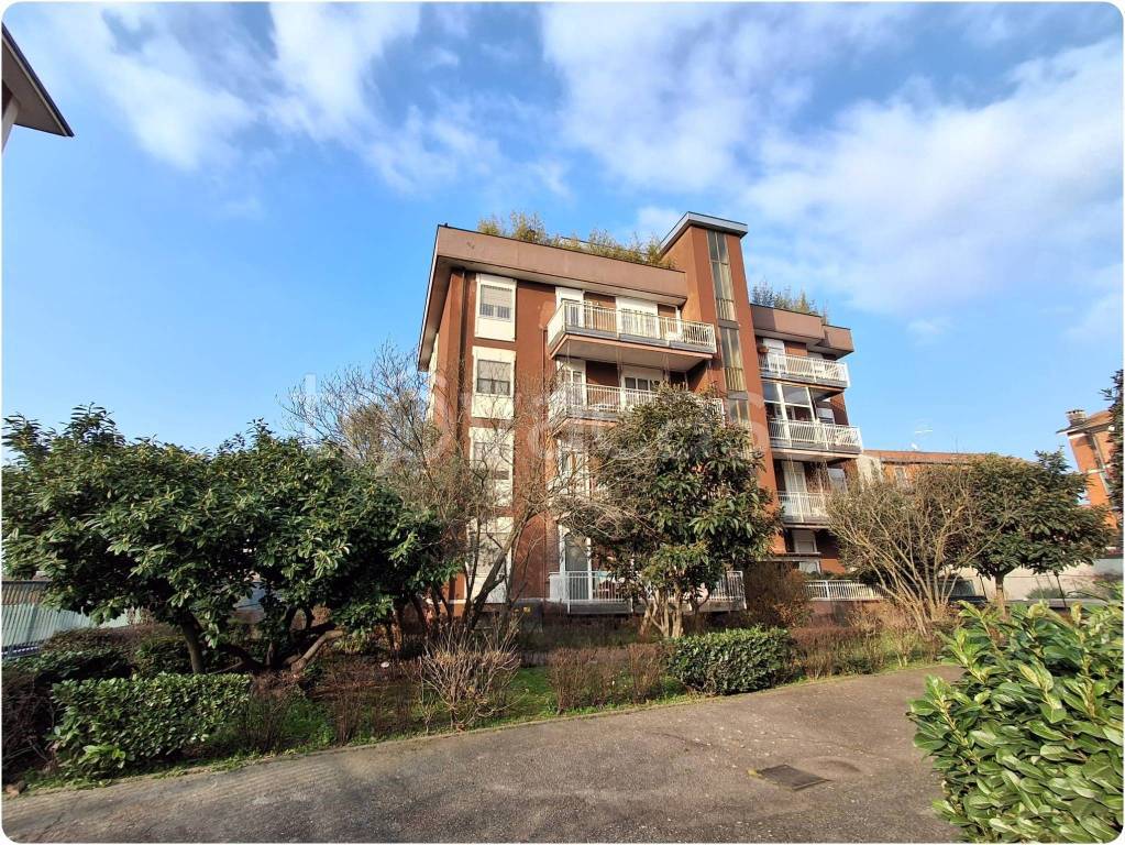 immagine annuncio 1 di 4