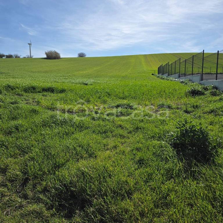 immagine annuncio 4 di 9