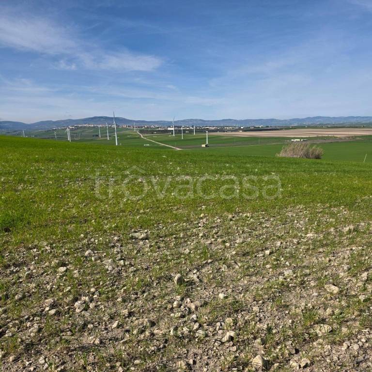 immagine annuncio 6 di 9