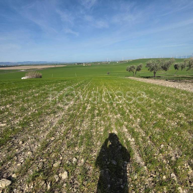 immagine annuncio 7 di 9