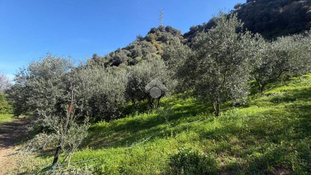 immagine annuncio 8 di 14