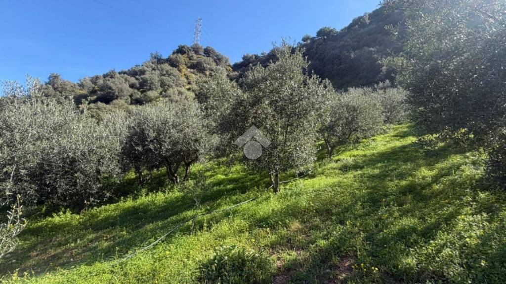 immagine annuncio 12 di 14