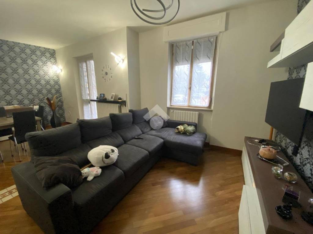 immagine annuncio 6 di 14