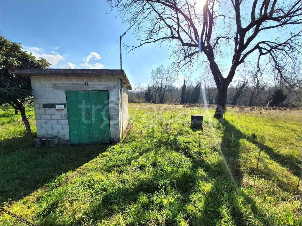 immagine annuncio 1 di 10