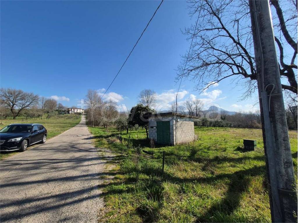 immagine annuncio 3 di 10