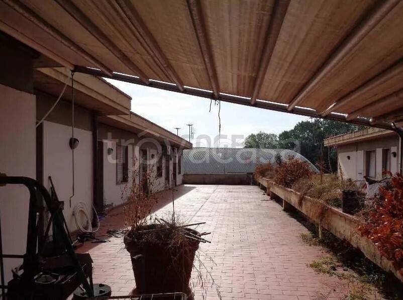 immagine annuncio 2 di 6