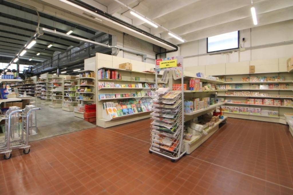 immagine annuncio 10 di 15