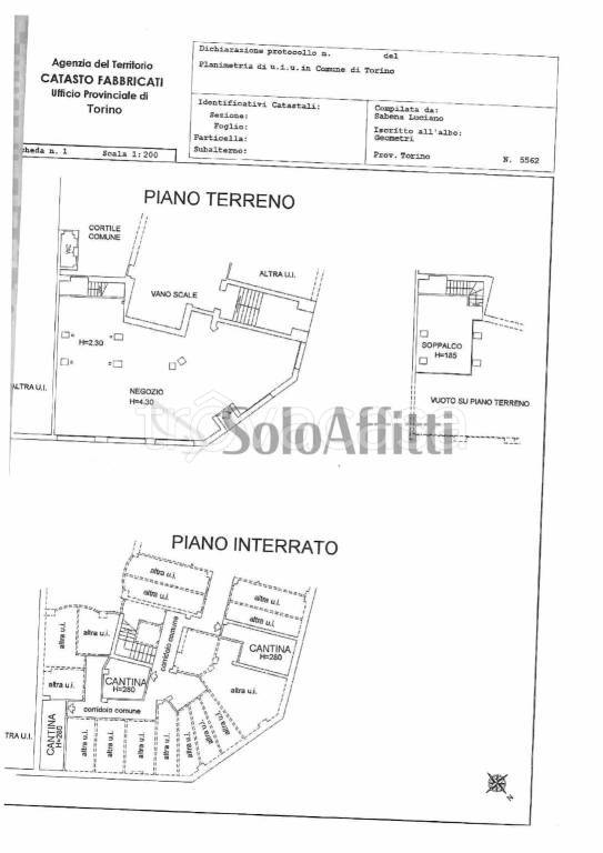 immagine annuncio 1 di 2