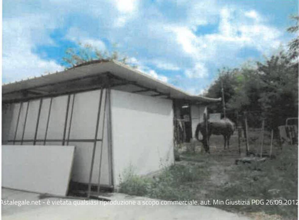 immagine annuncio 5 di 12