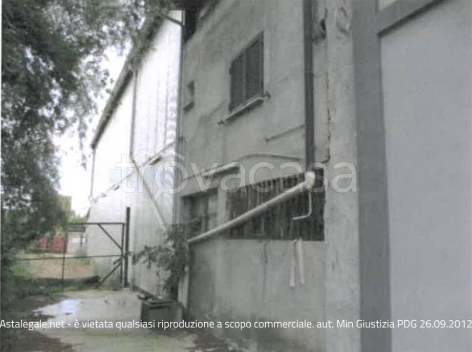 immagine annuncio 7 di 12