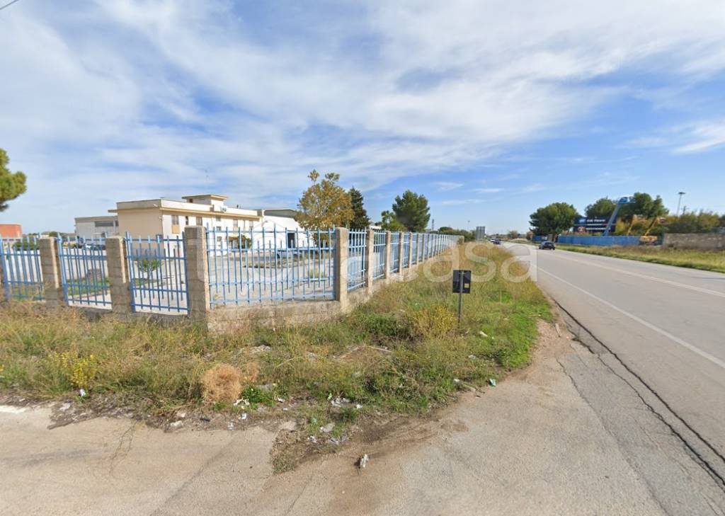 immagine annuncio 10 di 15