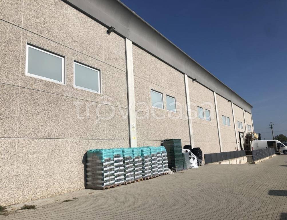 immagine annuncio 7 di 13