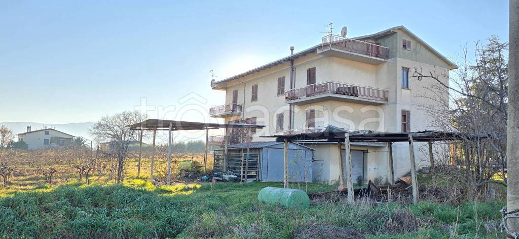 immagine annuncio 2 di 8