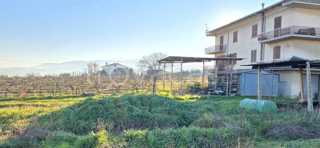 immagine annuncio 3 di 8