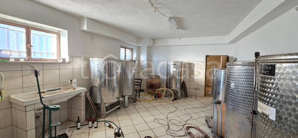 immagine annuncio 7 di 8