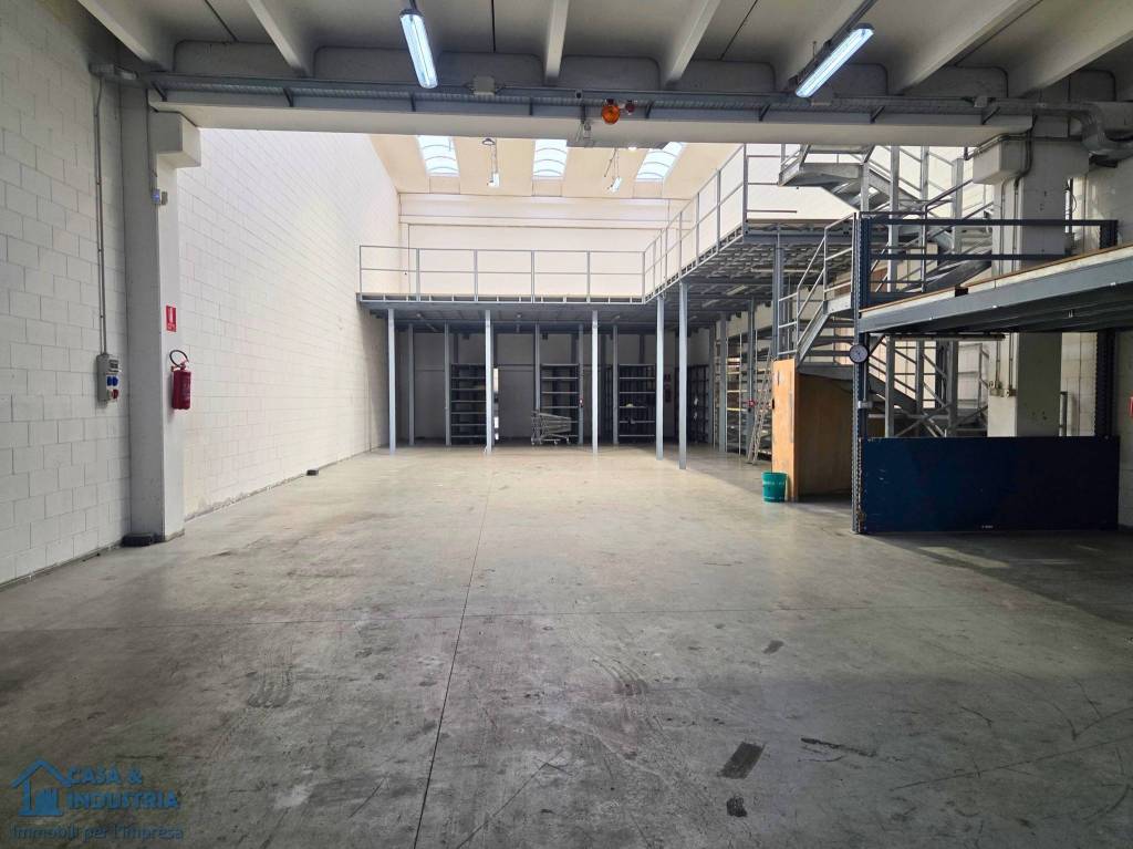 immagine annuncio 10 di 15